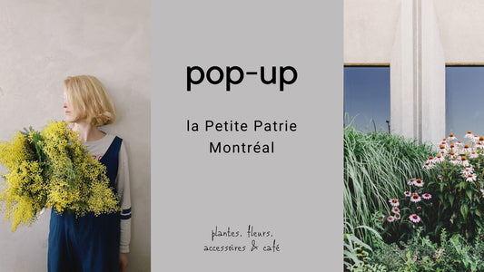 Pop-Up La Petite Patrie (Montreal) - Alma Plantes