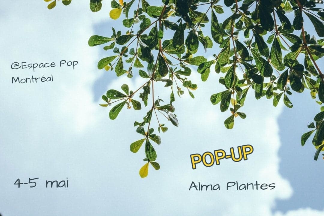 Pop-Up Montréal - 4 & 5 mai - Alma Plantes