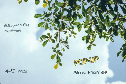Pop-Up Montréal - 4 & 5 mai - Alma Plantes