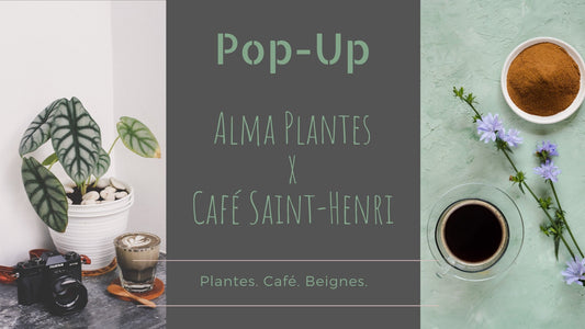 Pop-Up Québec - 27-28 juillet - Alma Plantes