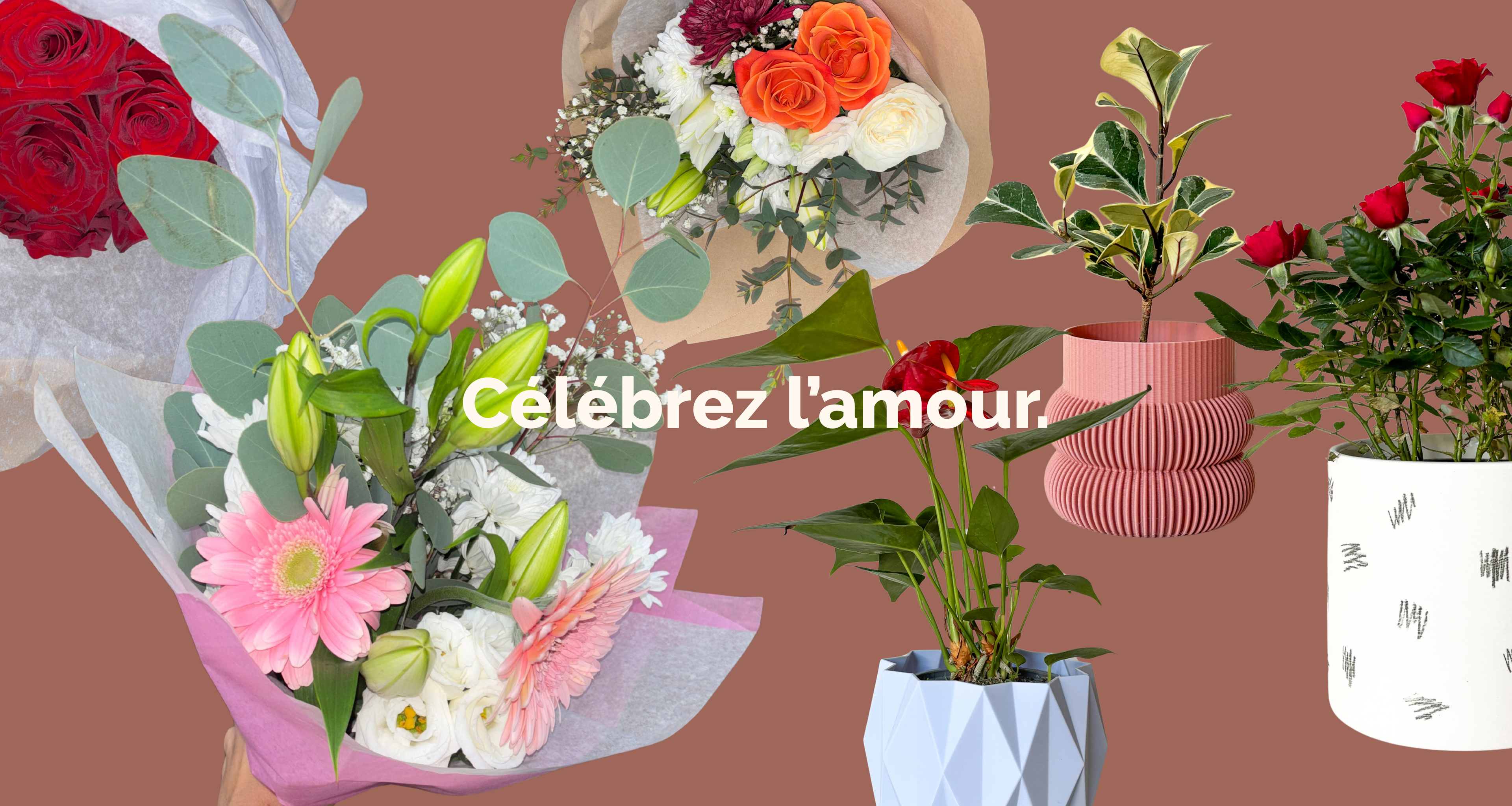 Saint-Valentin - Alma Plantes