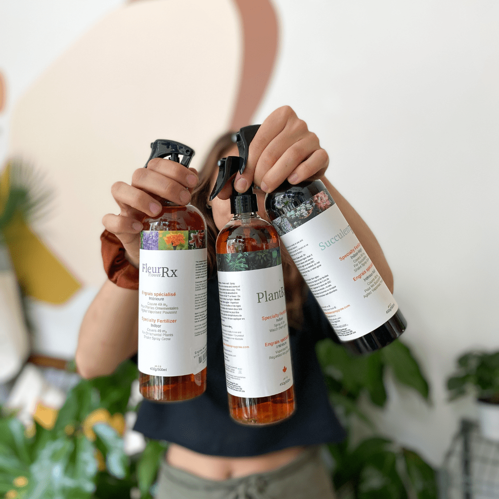 Engrais, terreau & autre - Alma Plantes