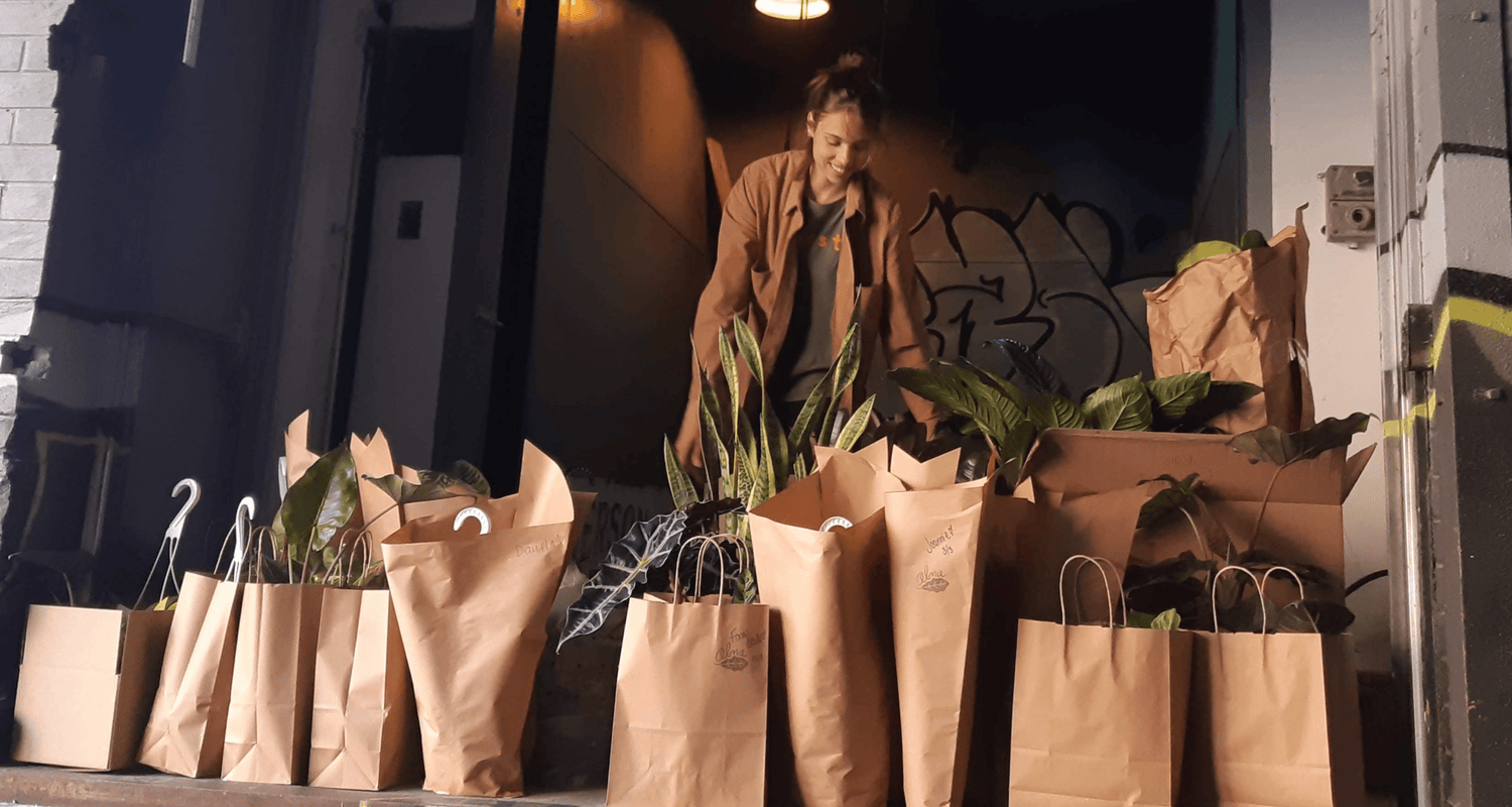 Envoi Postal - Alma Plantes