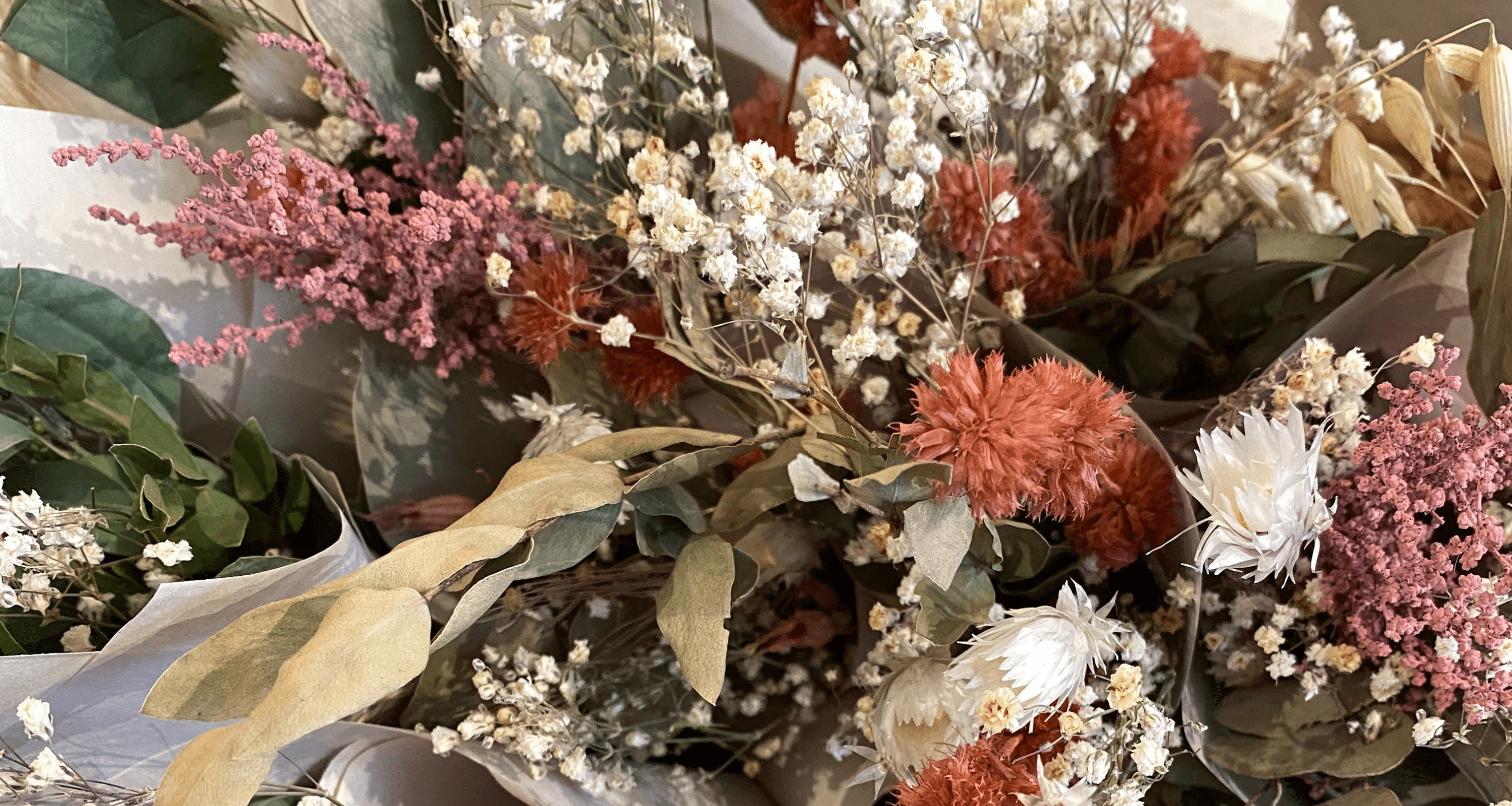 Idées cadeaux - Alma Plantes