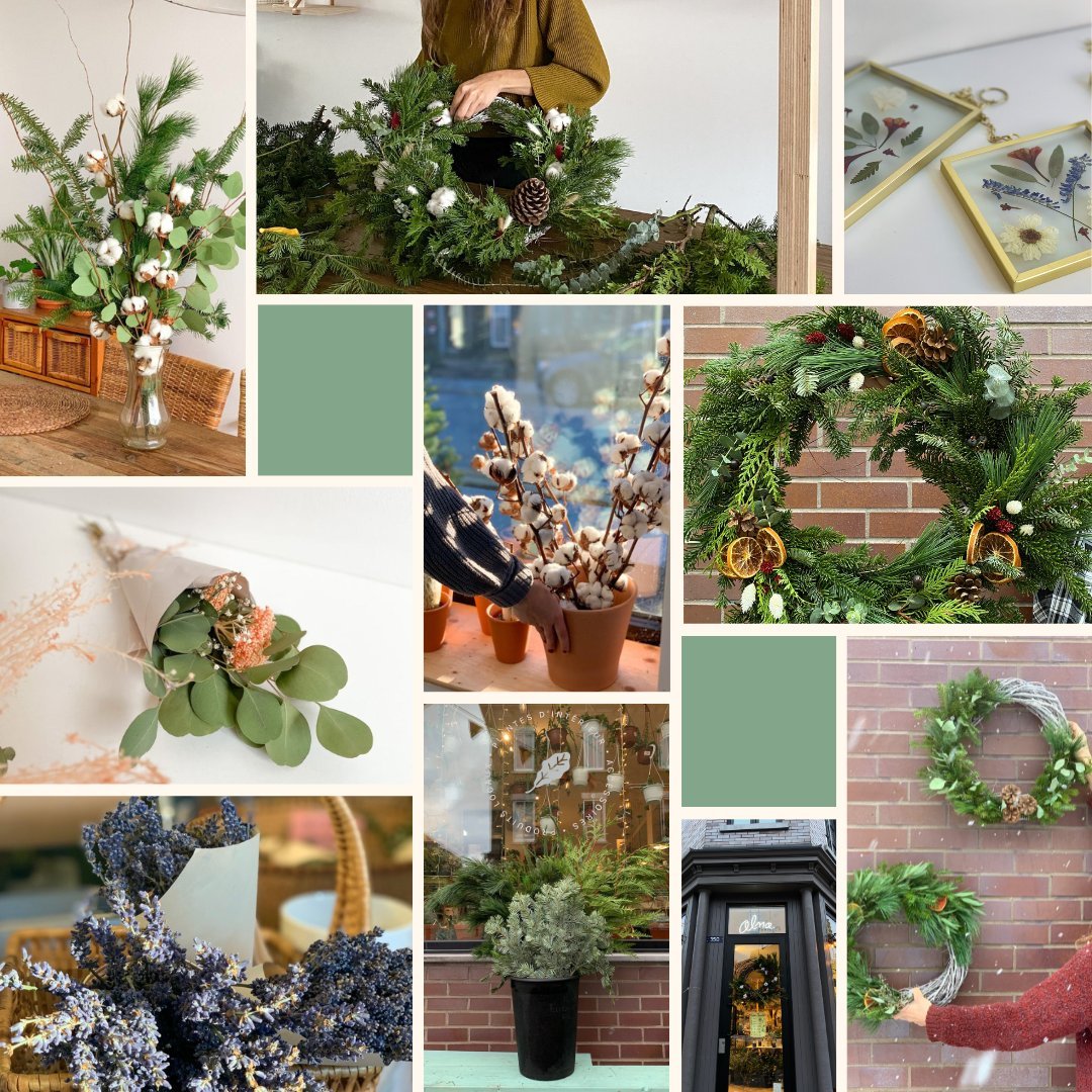 Noël - Alma Plantes