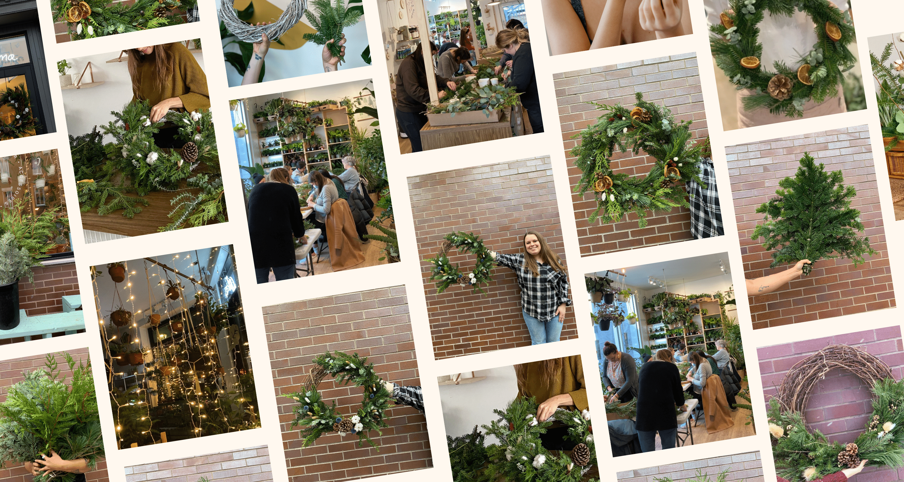 Noël - Alma Plantes