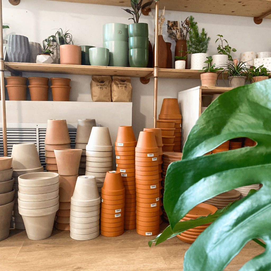 Pot en terrecuite - Alma Plantes