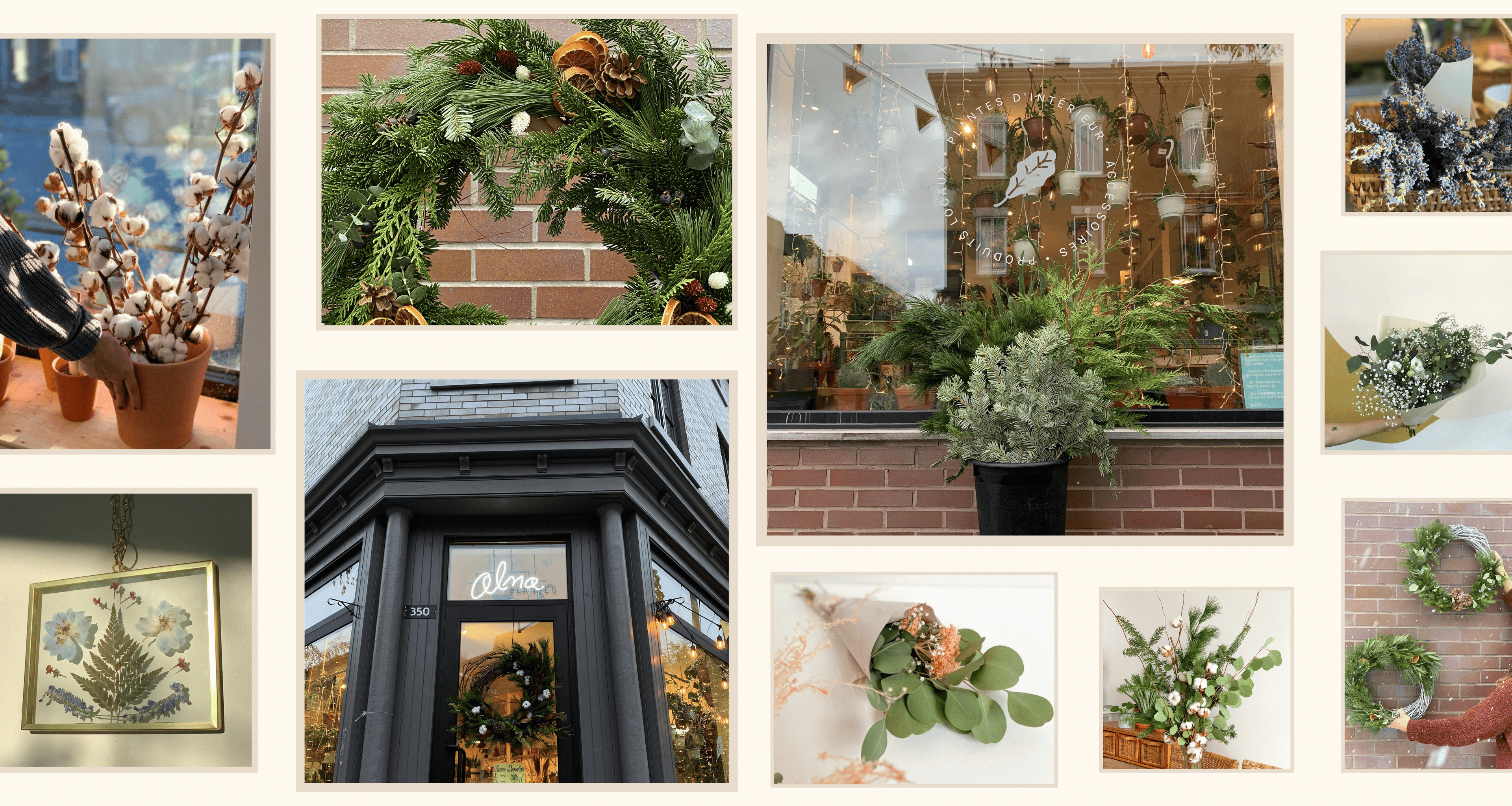 Produits locaux & bien-être - Alma Plantes