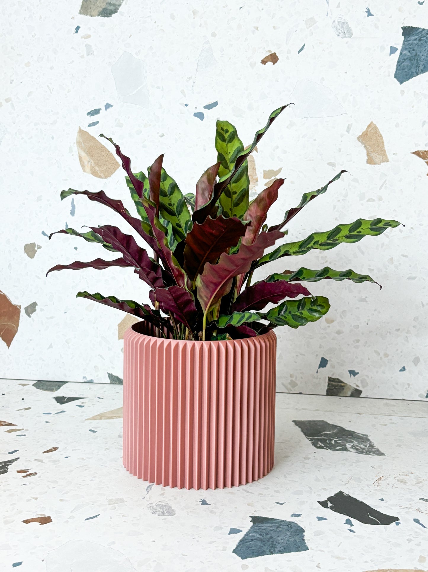 Cache pot 'Le Coquet'