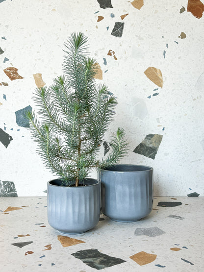 Cache-pot Bagua - Gris bleuté