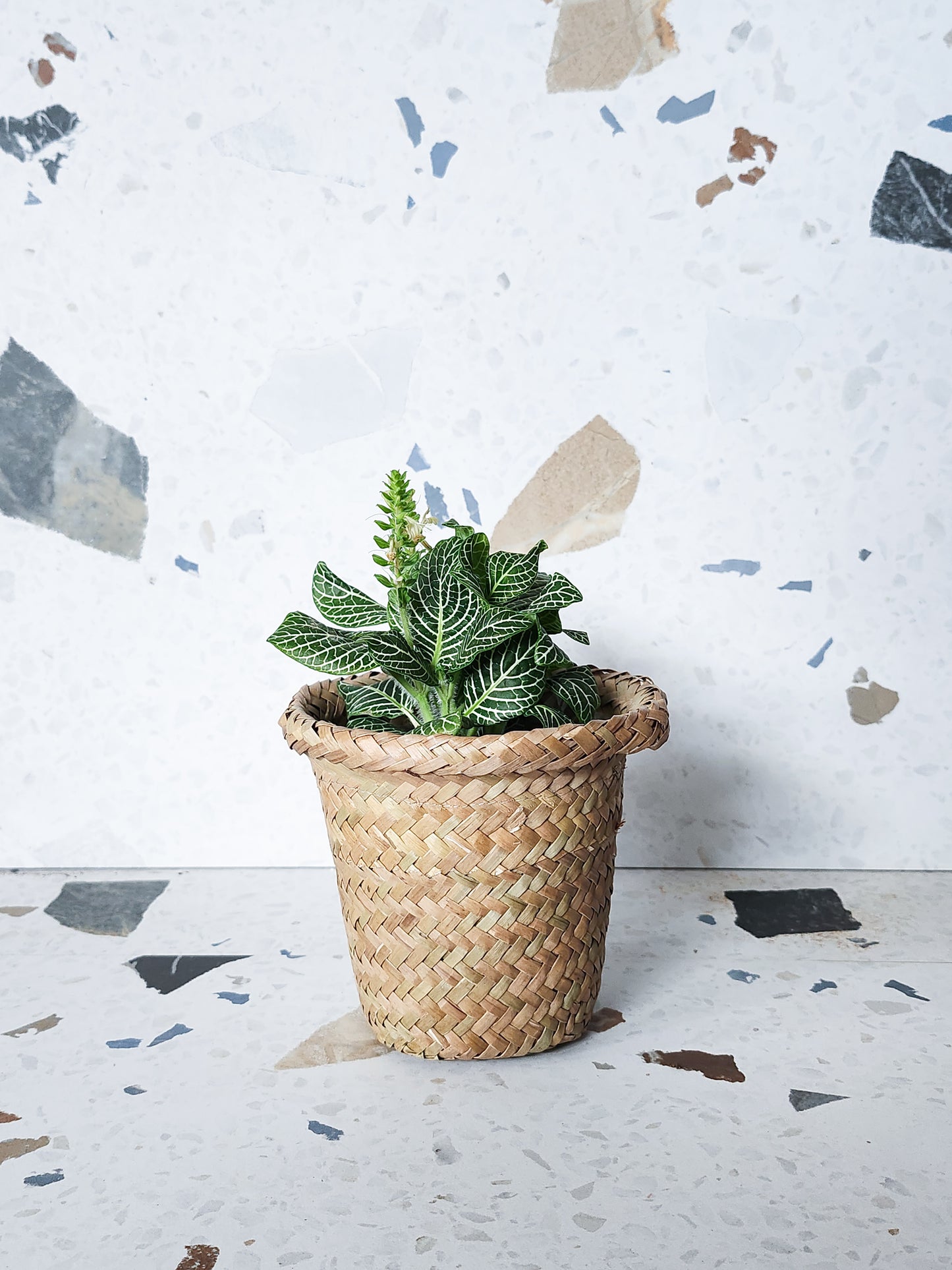 Petit panier en osier