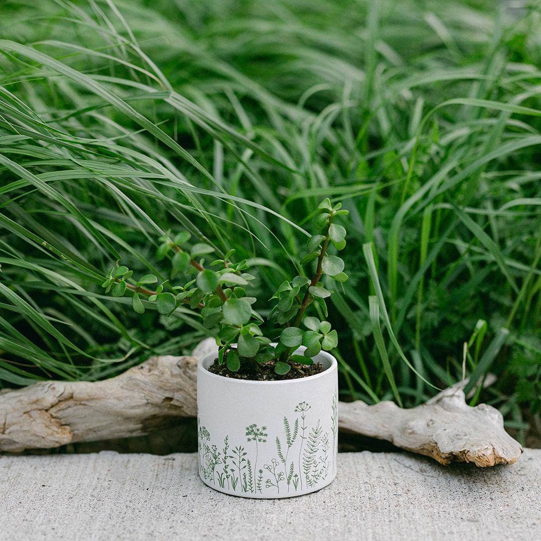 Cache-pot terre cuite - motif de fleurs déssinées