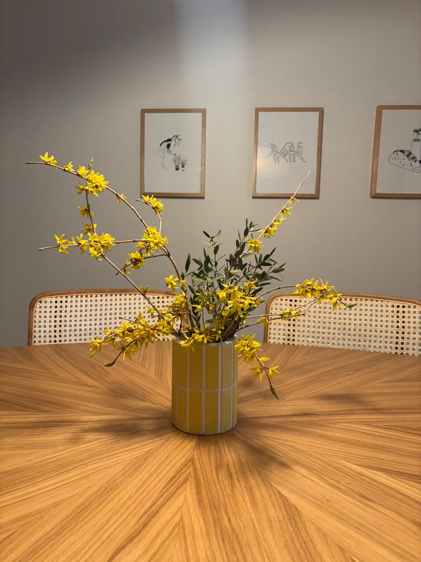 Forsythia