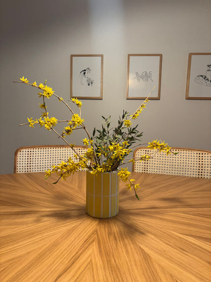 Forsythia