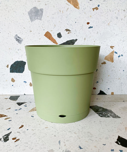 Pot Capri vert