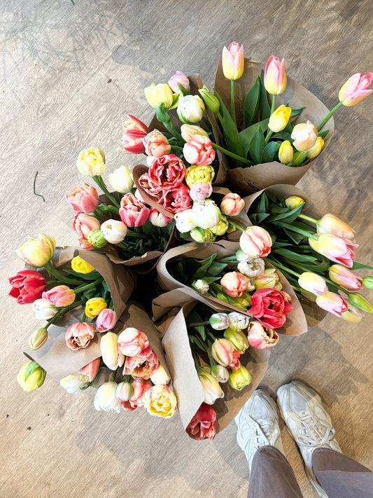 Tulipes du Québec
