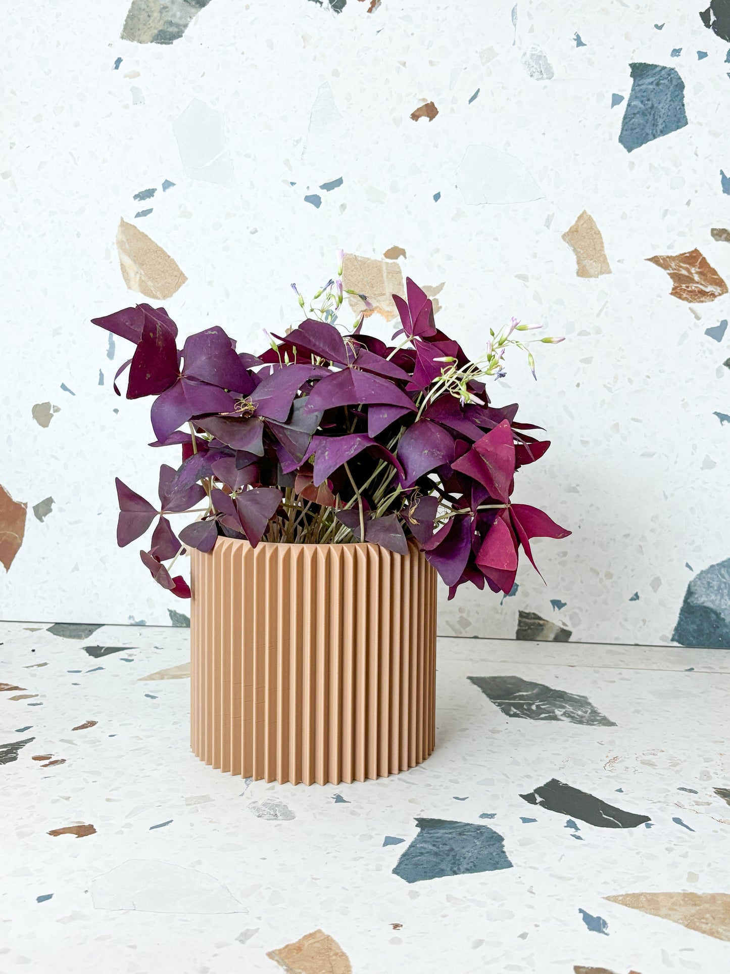 Cache pot 'Le Coquet'