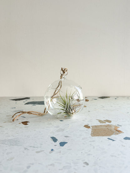 Vase boule en verre suspendu