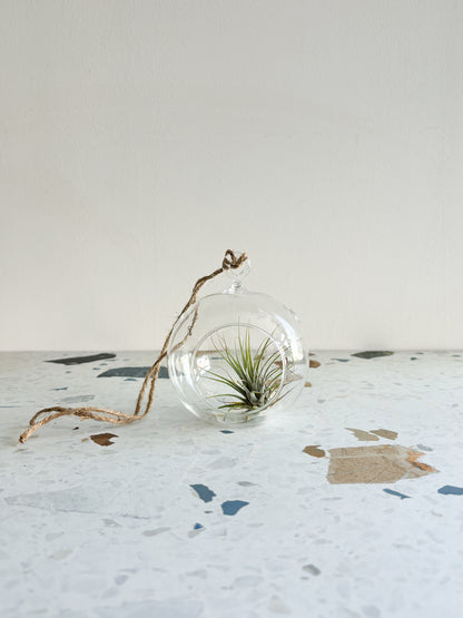 Vase boule en verre suspendu