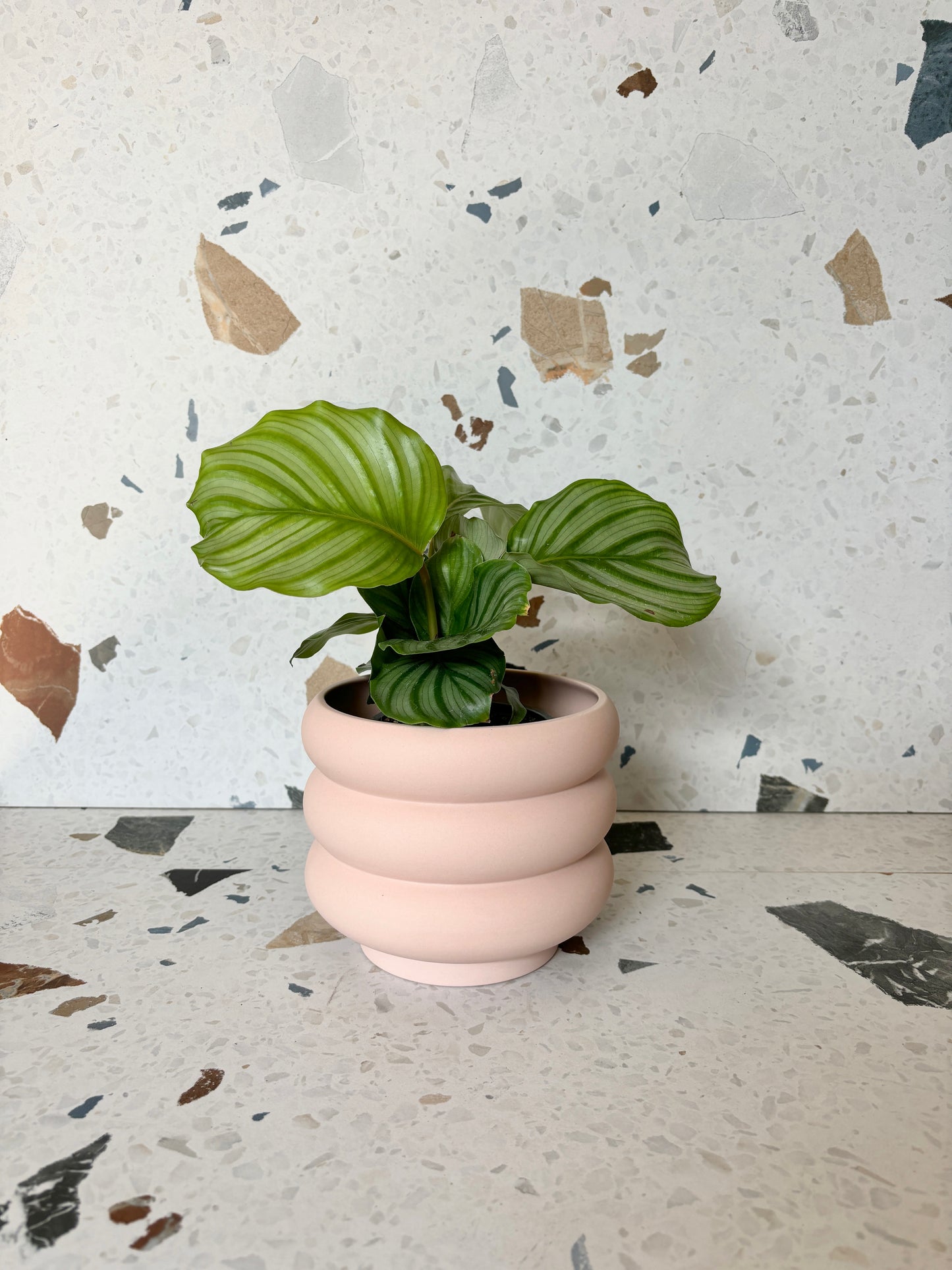 pot Élise