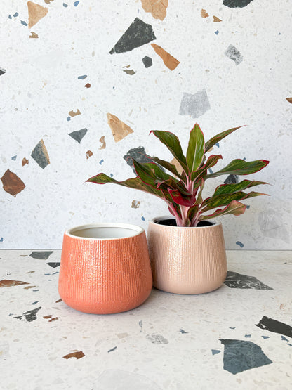 Cache-pot Azalée