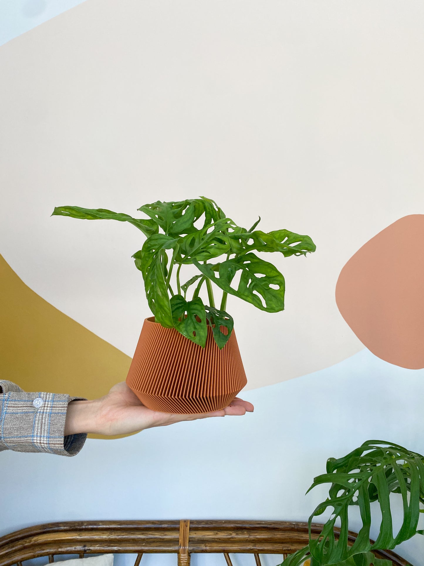 Cache pot 'Le Joli'