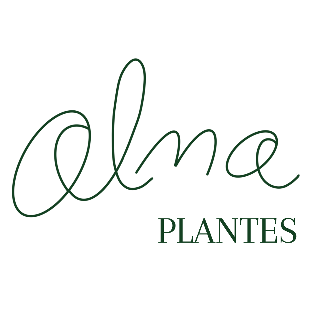 Alma Plantes