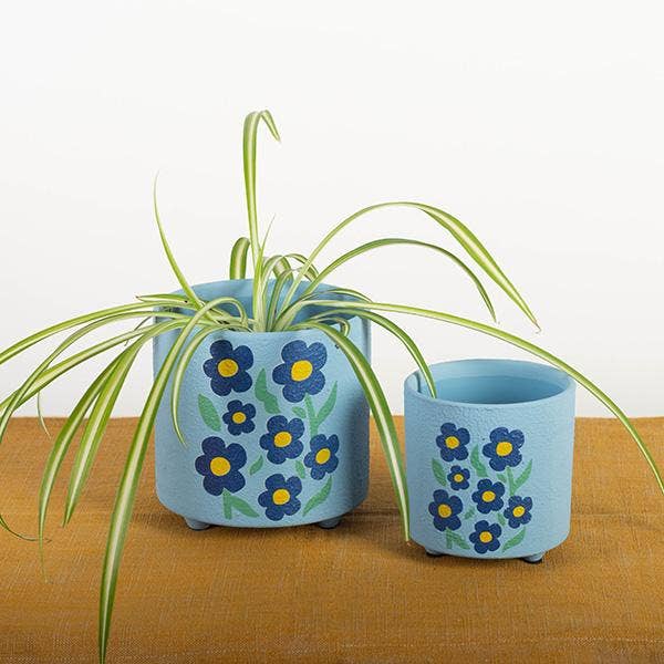 Cache-pot en terre cuite - myosotis