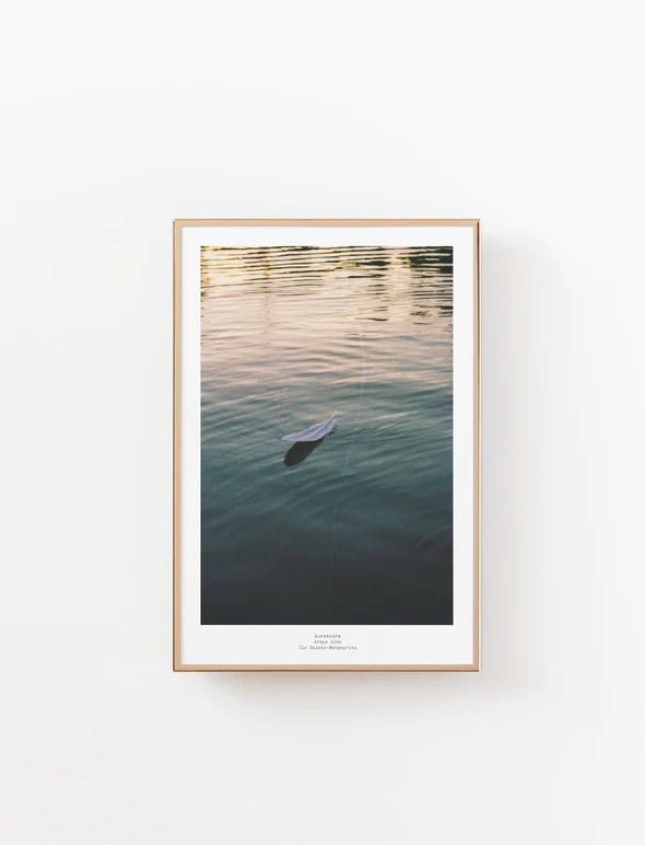 Affiche - Aurevoirs - Alma Plantes