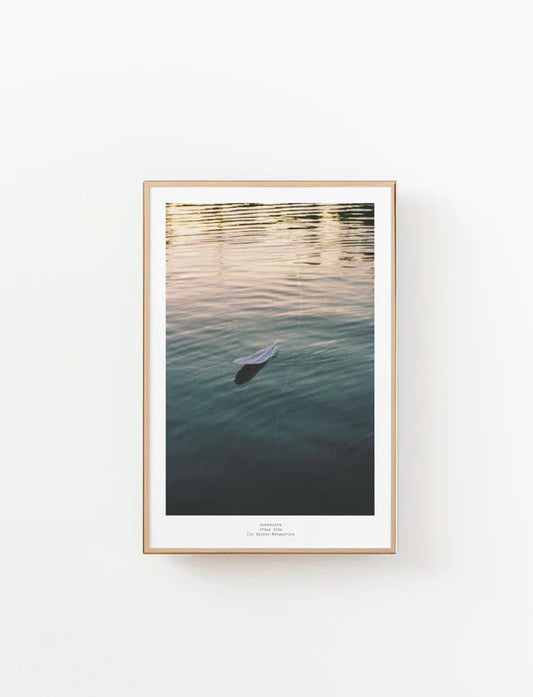 Affiche - Aurevoirs - Alma Plantes