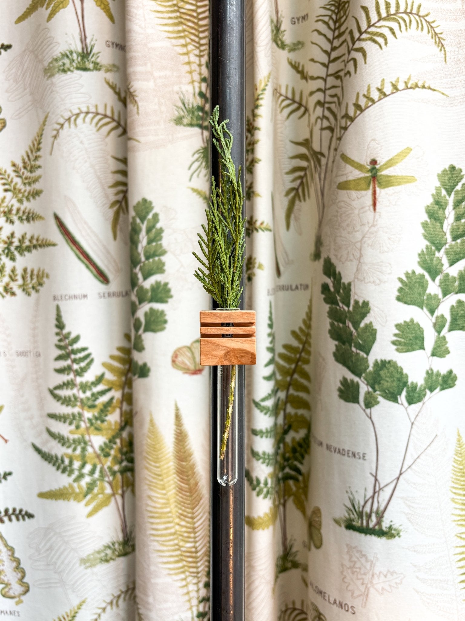 Aimant à bouture - Alma Plantes