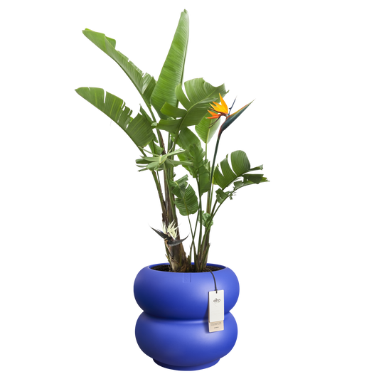 Cache-pot Amber-Roll bas