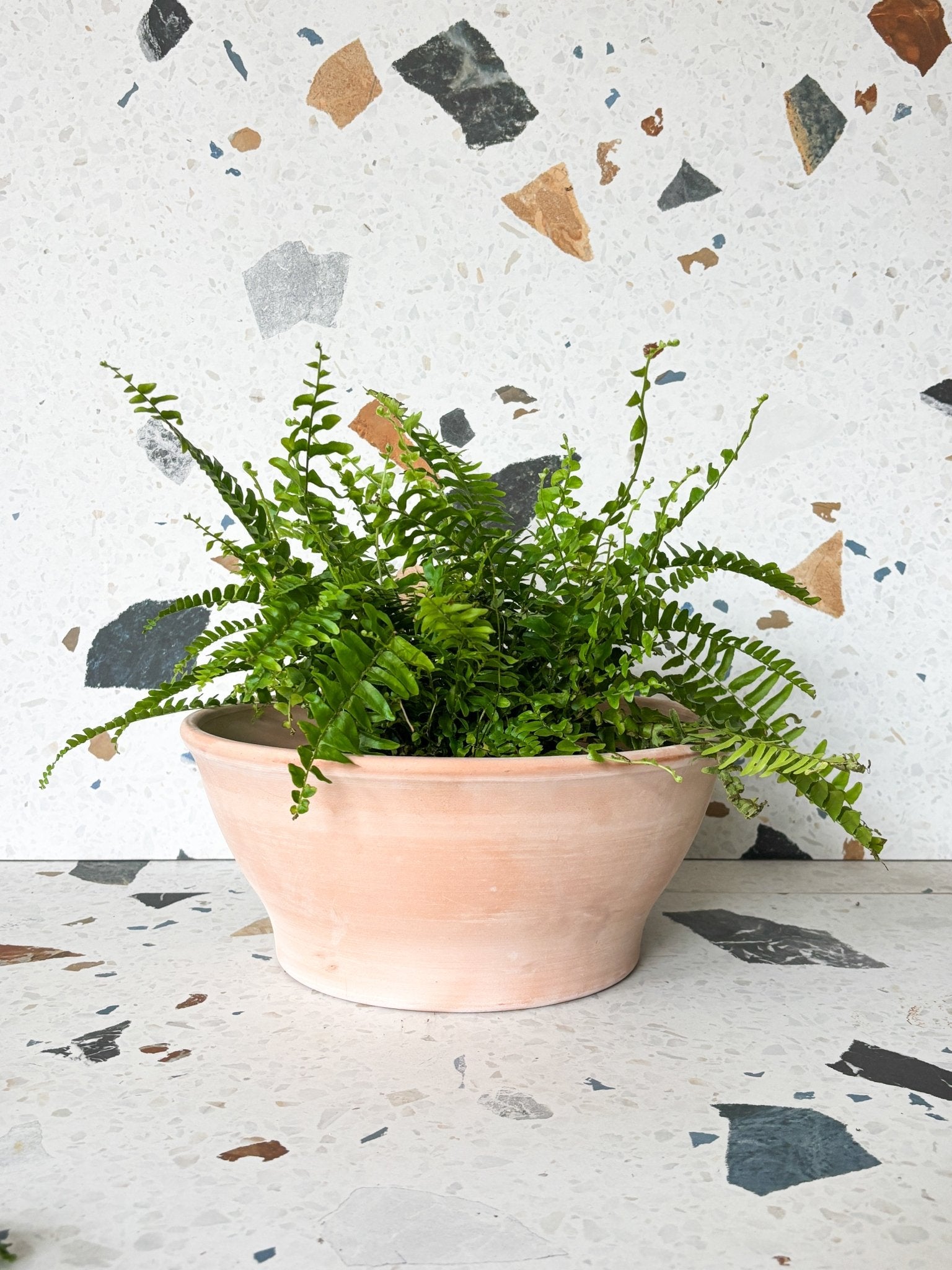 Bol Terre Cuite Ciatola - Alma Plantes