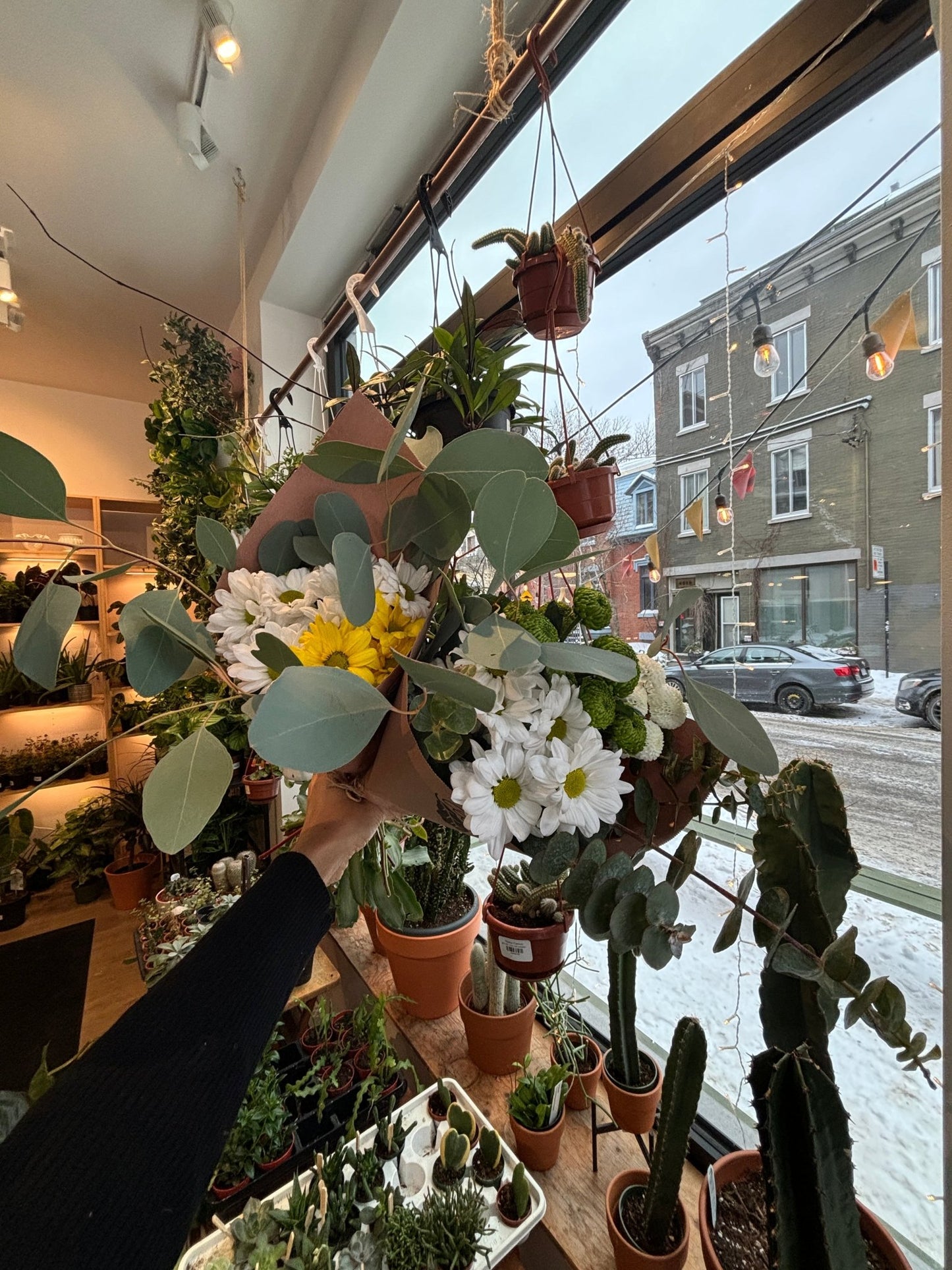 Bouquet d’automne - Alma Plantes