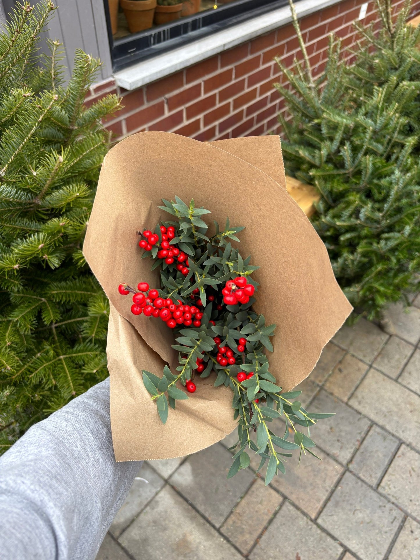 Bouquet des fêtes - Alma Plantes