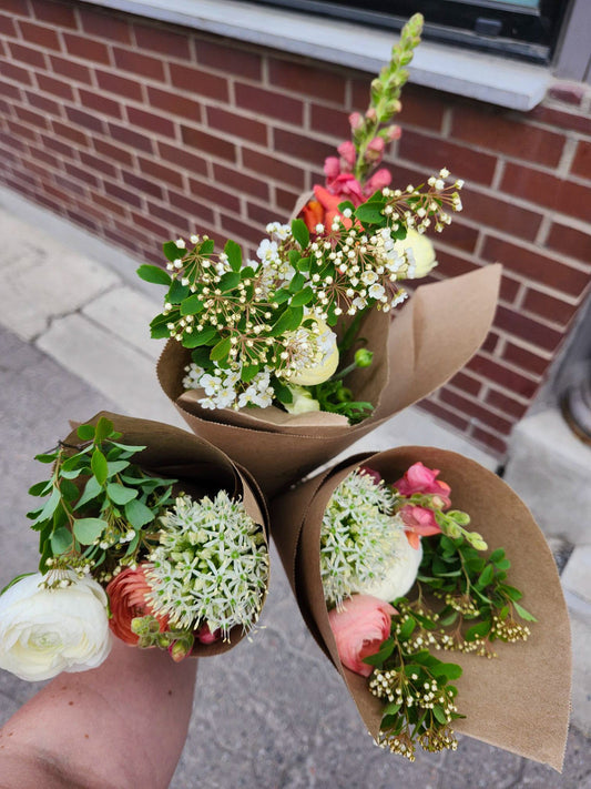 Bouquet mixte de fleurs locales - Alma Plantes