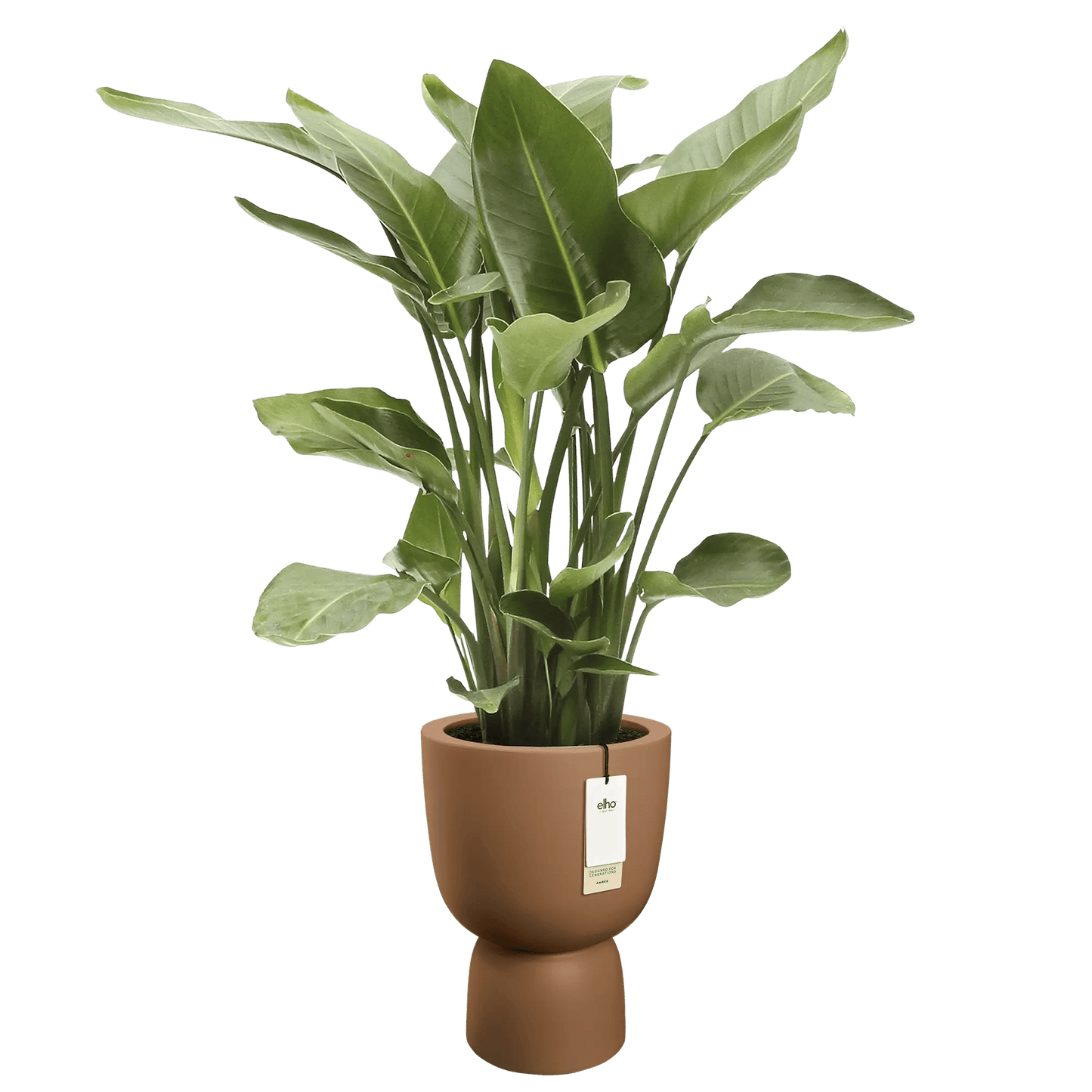 Cache - pot Amber - coupe rond - Alma Plantes