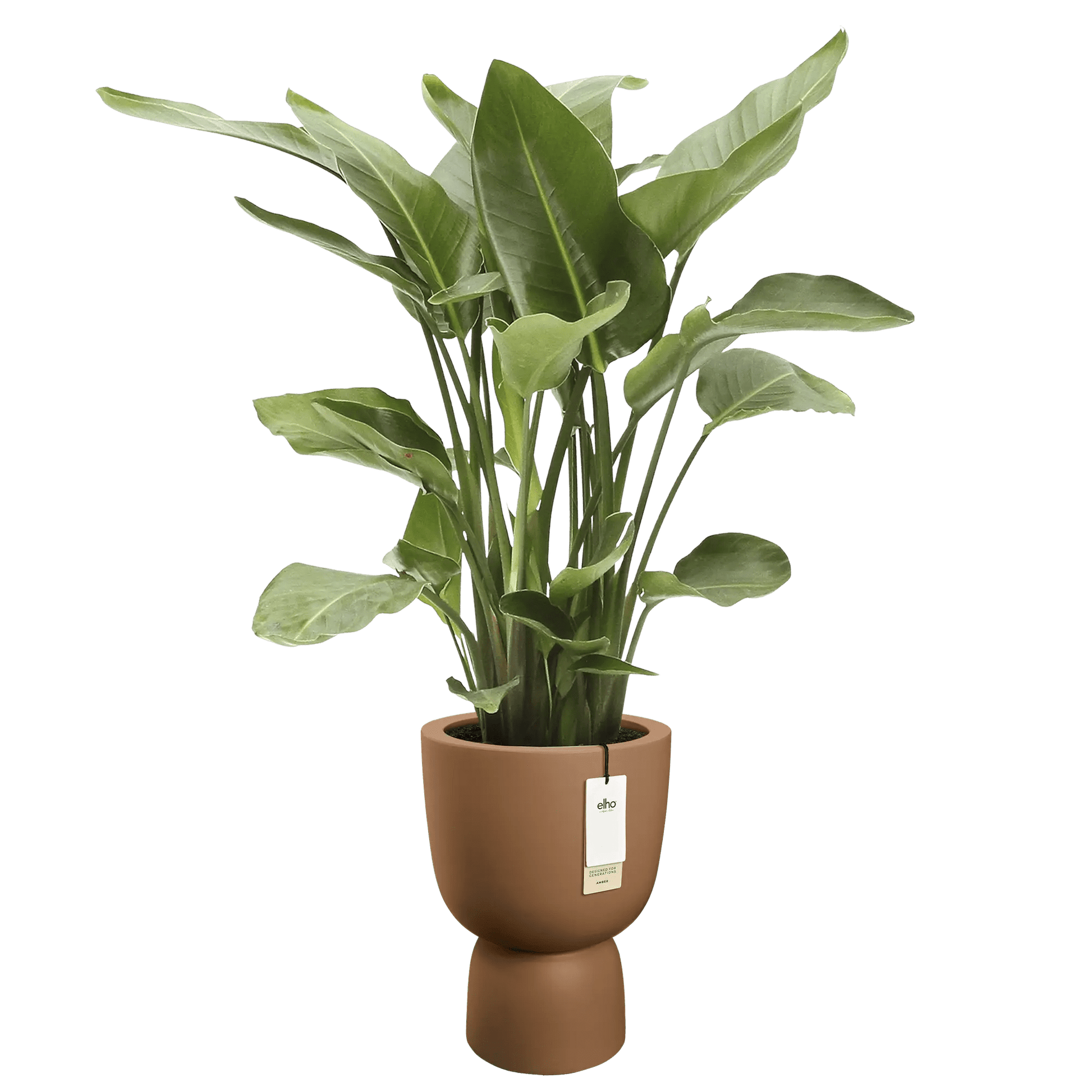 Cache - pot Amber - coupe rond - Alma Plantes