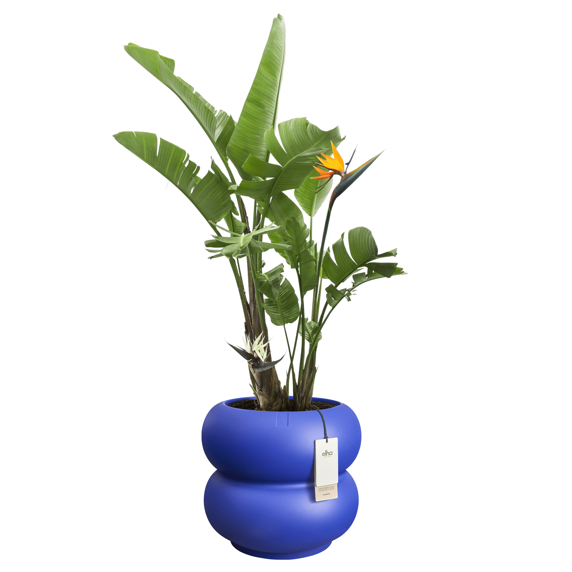 Cache-pot Amber-Roll bas – Alma Plantes