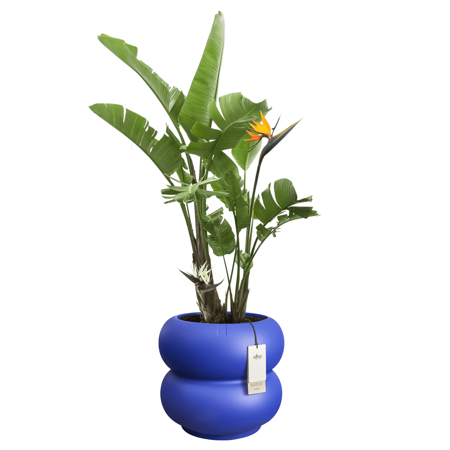 Cache - pot Amber - Roll bas - Alma Plantes