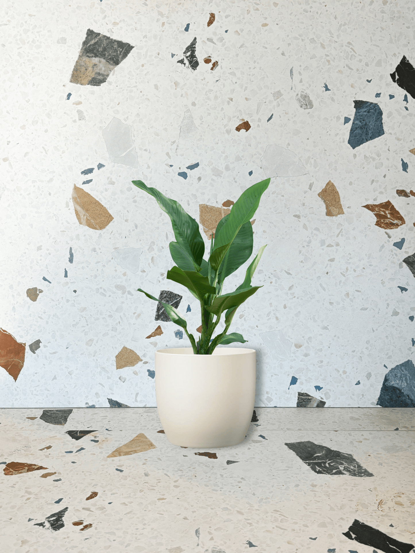 Cache - pot Basel - Crème - Alma Plantes