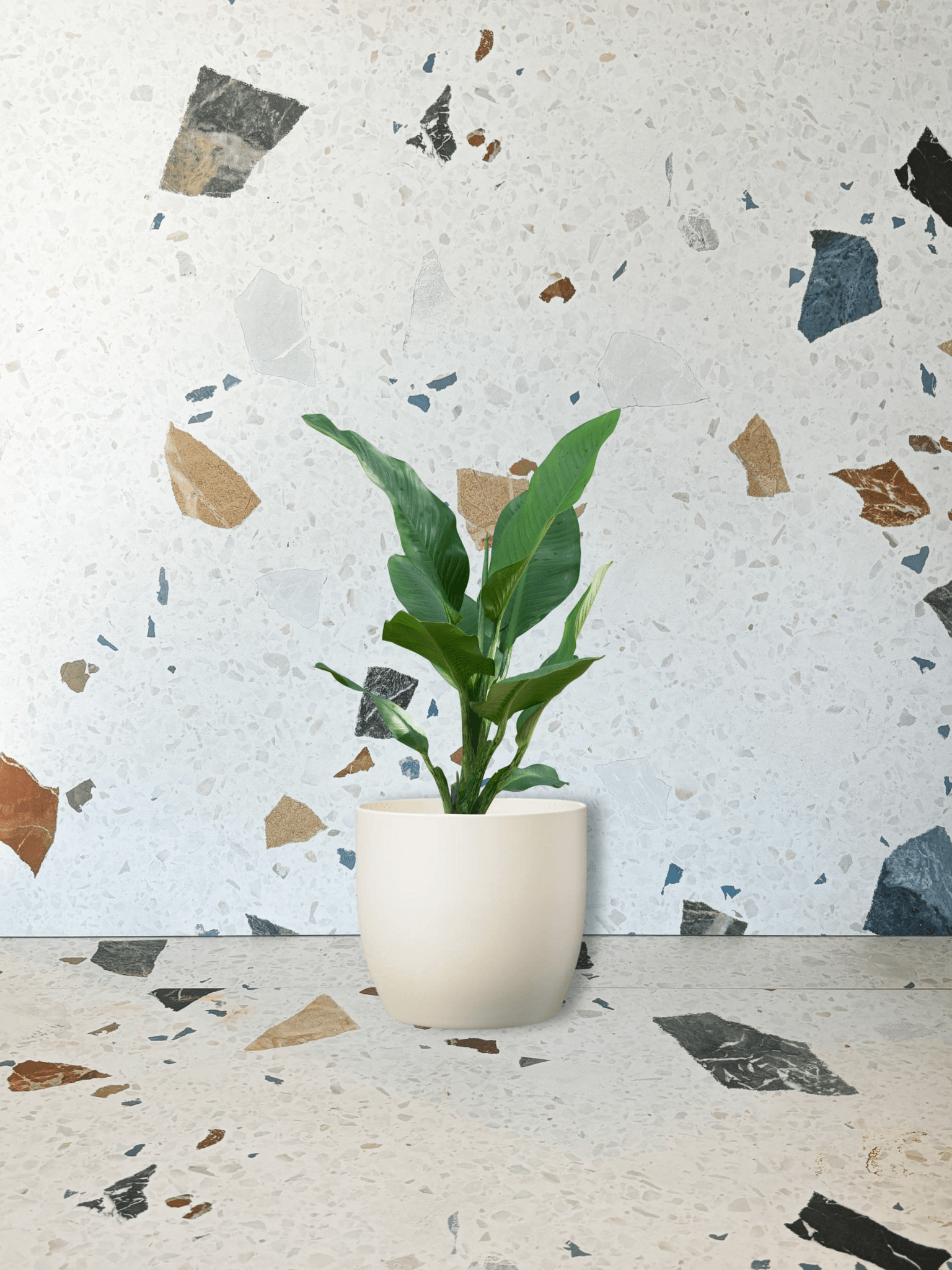 Cache - pot Basel - Crème - Alma Plantes