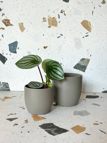 Cache - pot Basel - Gris - Alma Plantes