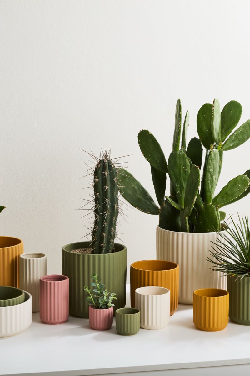 Cache - pot Beam - Alma Plantes