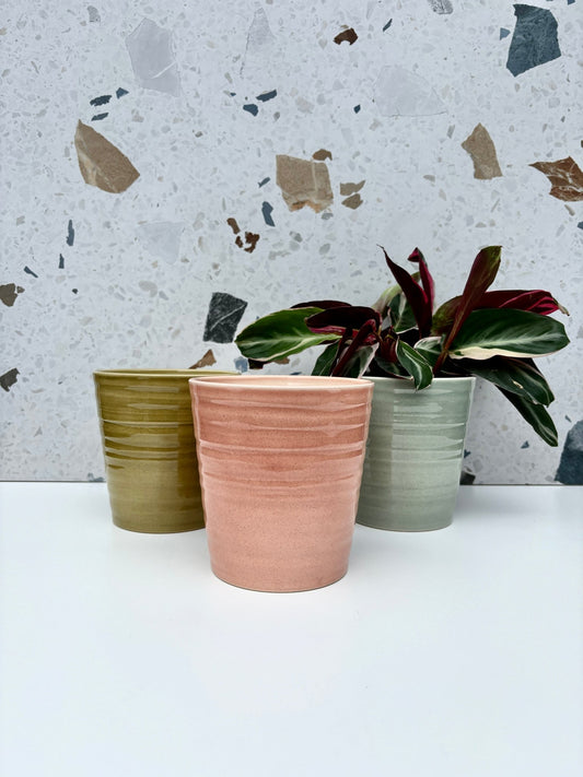 Cache - pot Canberra - Alma Plantes