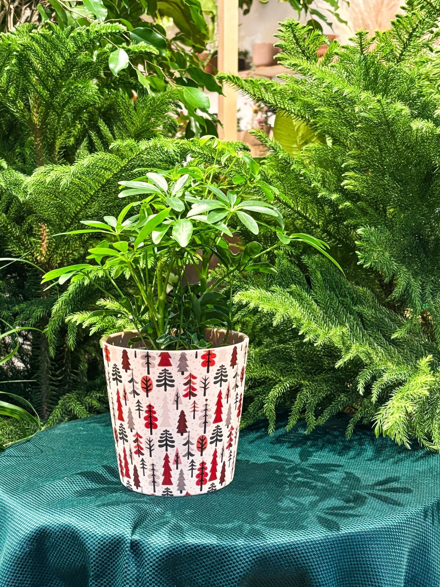 Cache - pot dallas breeze - Forêt d'hiver - Alma Plantes