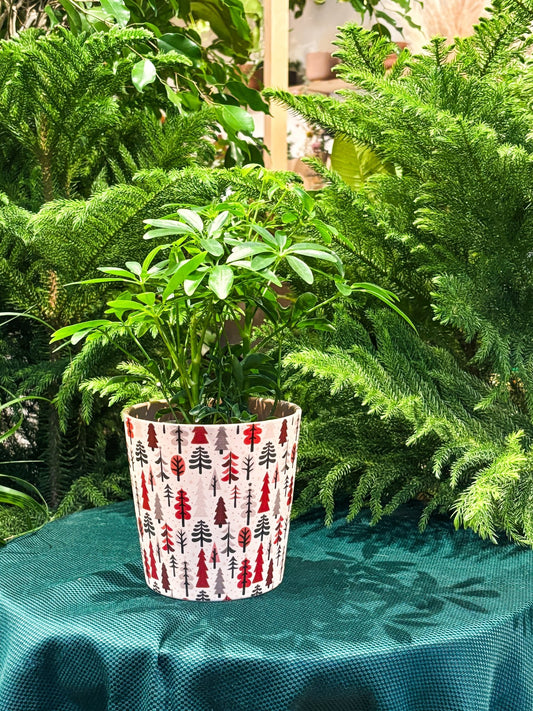 Cache - pot dallas breeze - Forêt d'hiver - Alma Plantes