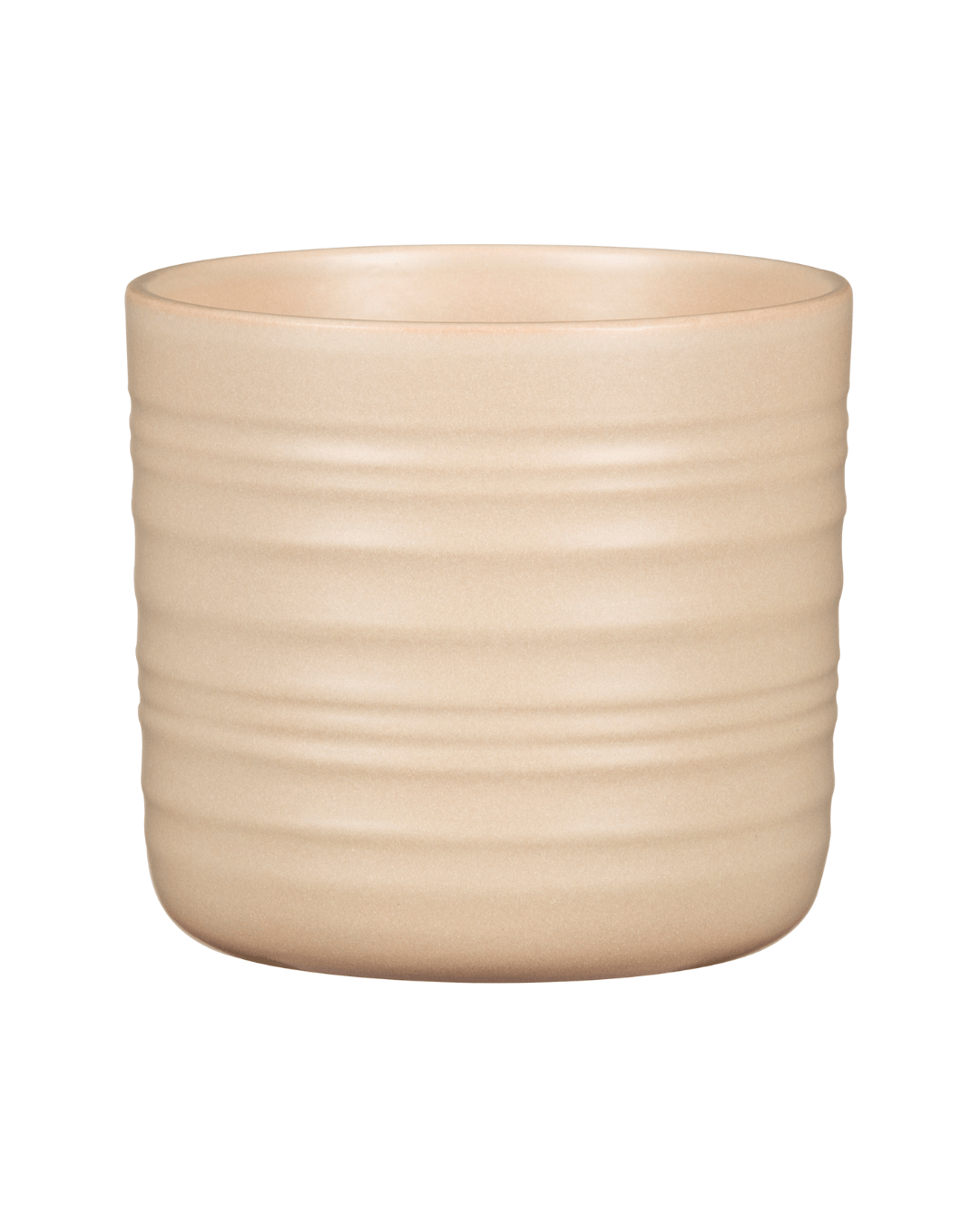 Cache - pot dry reed - Alma Plantes