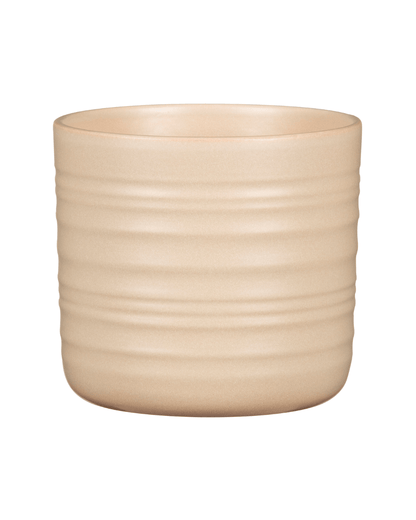 Cache - pot dry reed - Alma Plantes