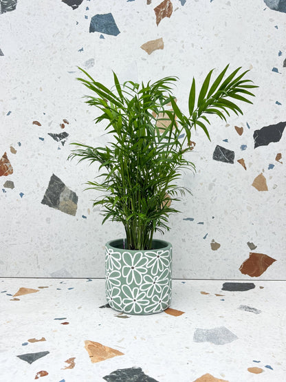 Cache-pot Fleuri - Alma Plantes